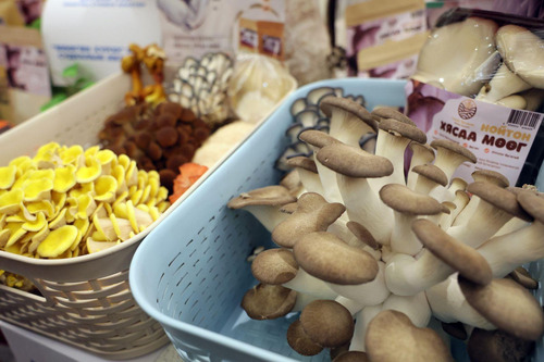 ubpress/image/2025/12/12/zmwumzp0m8h4vq2j/Хүнсний